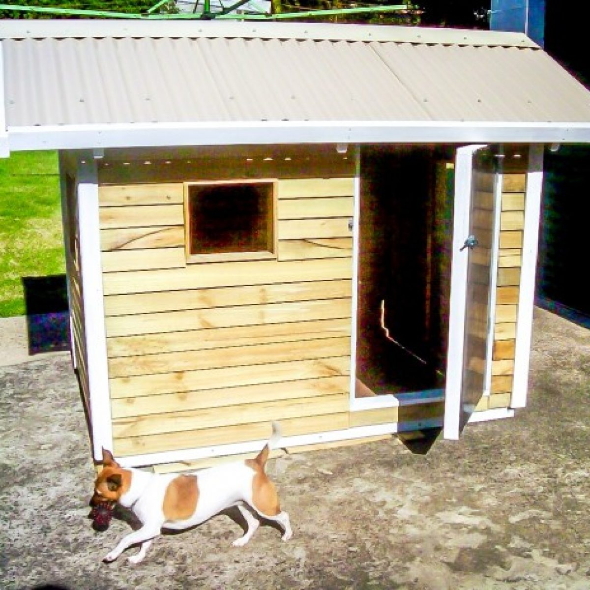dog kennel sydney