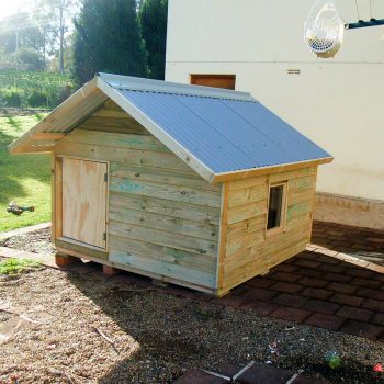 extra large kennel, gable roof, ply door $1215 with accessories